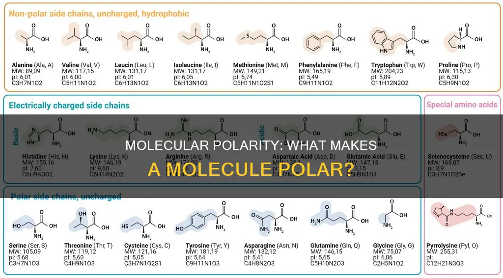 what constitutes a molecule as a polar molecule