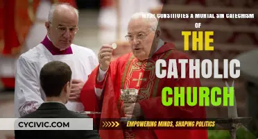 The Mortal Sin Catechism: What Catholics Must Avoid