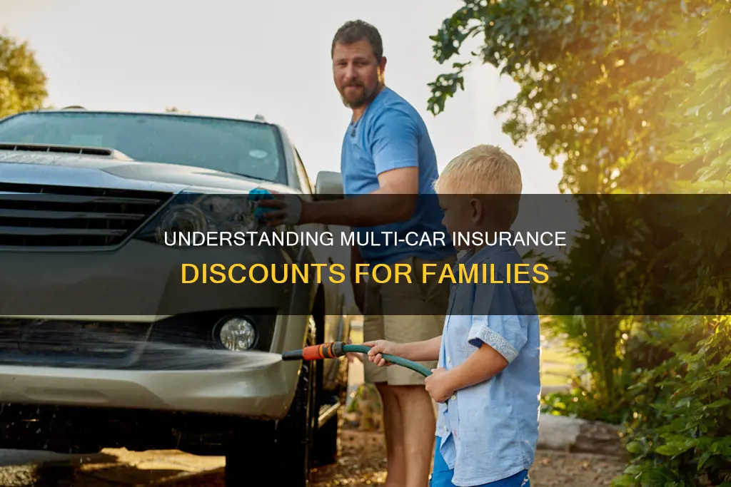 what constitutes a multi car same family auto discount