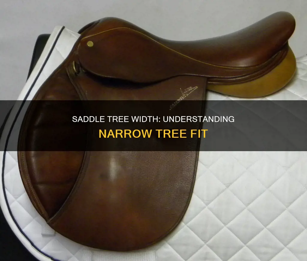 what constitutes a narrow tree on a saddle