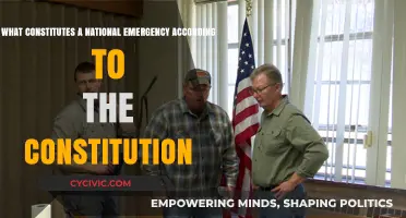 Understanding National Emergencies: Constitutional Powers Explained
