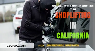 Understanding California's Necessity Defense for Felony Shoplifting