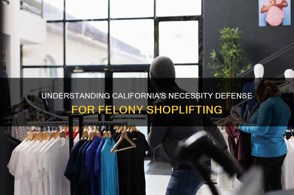 what constitutes a necessity defense for felony shoplifting in california
