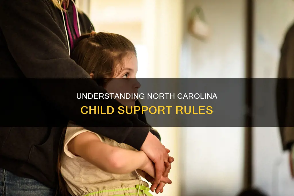what constitutes a night for north carolina child support