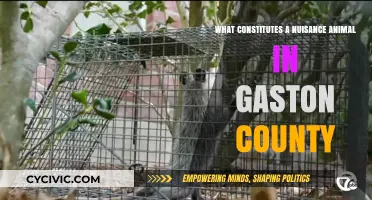 Gaston County's Nuisance Animals: Understanding the Law