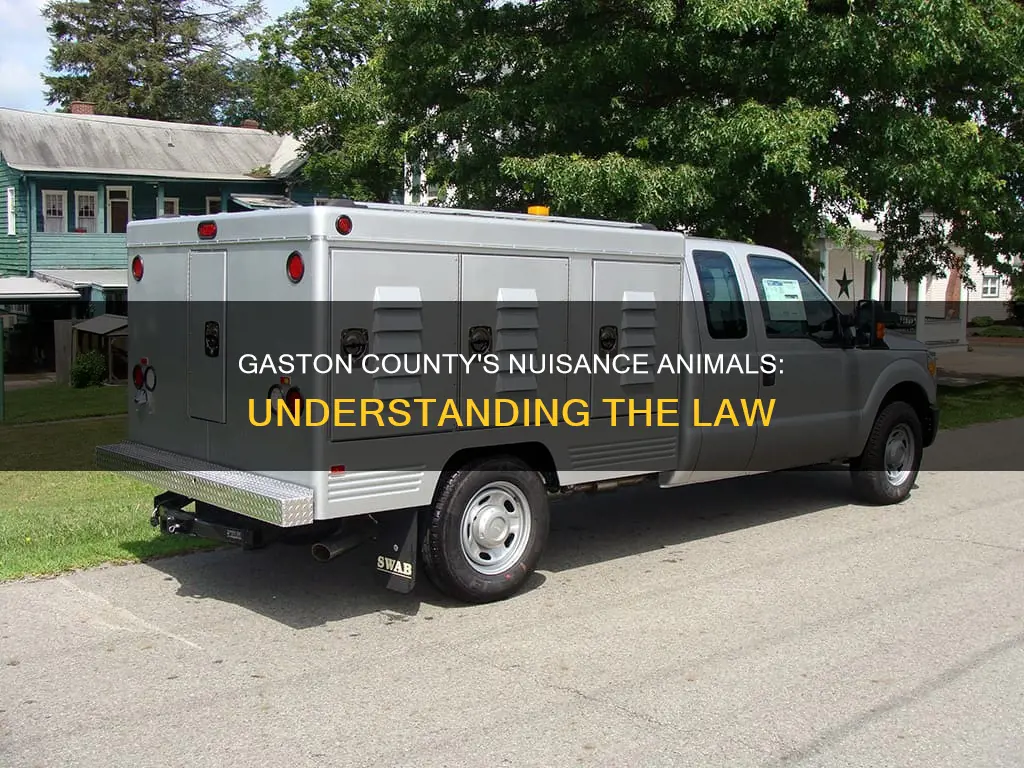 what constitutes a nuisance animal in gaston county