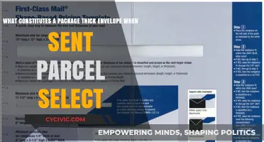Thick Envelope or Package: What Constitutes Parcel Select?