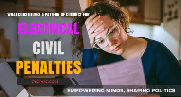 Understanding Civil Penalty Patterns in Electrical Safety