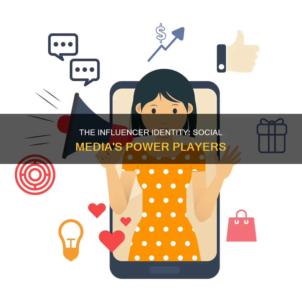 what constitutes a person as a social media influencer