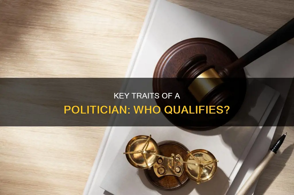 what constitutes a person to be a politician