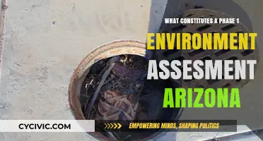 Environmental Assessment: Arizona's Phase 1 Overview