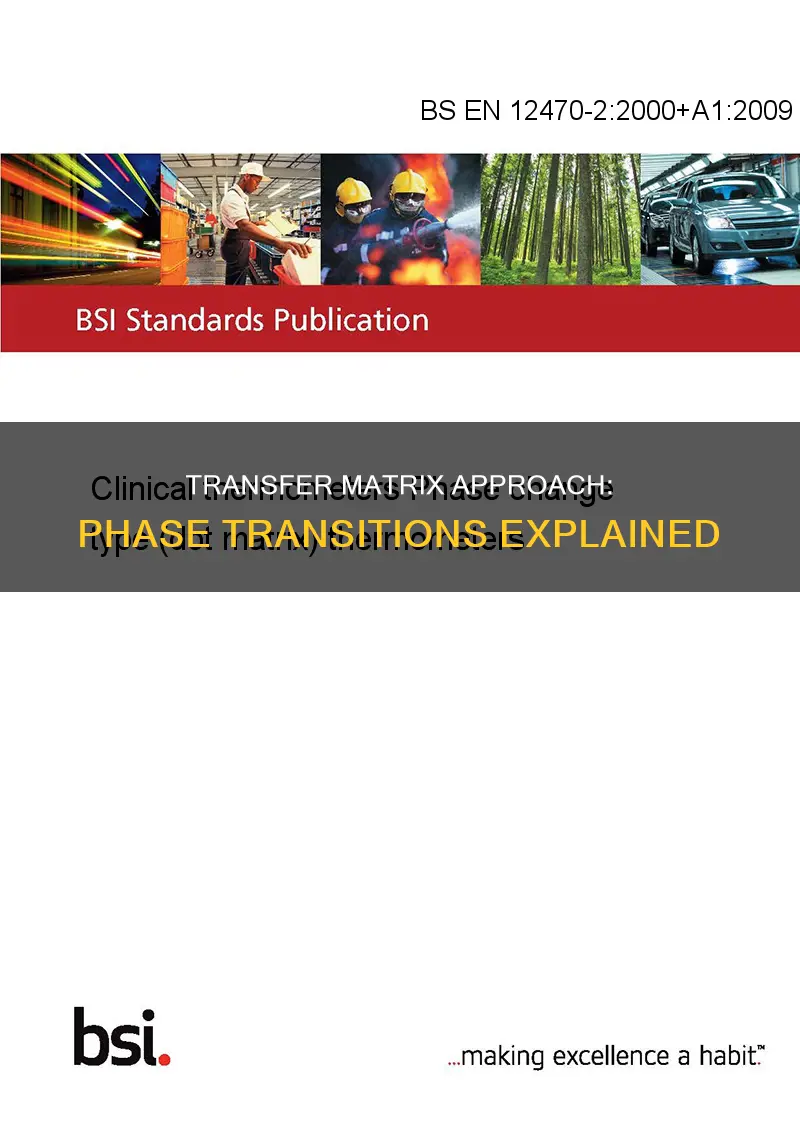 what constitutes a phase transition within a transfer matrix approach