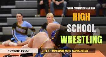 How Pins are Won in High School Wrestling