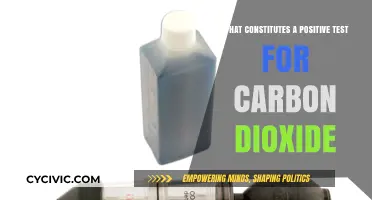 Carbon Dioxide Testing: What Constitutes a Positive Test?