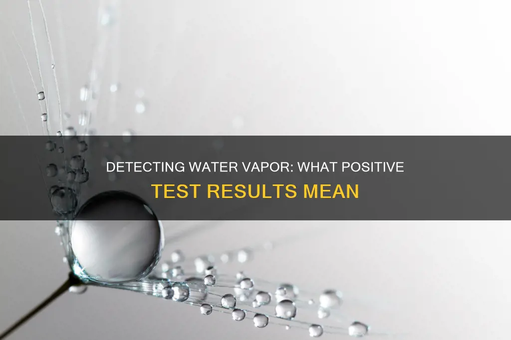 what constitutes a positive test for water vapor