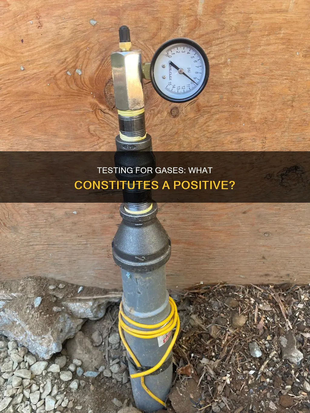 what constitutes a positivetest for each of the following gasses