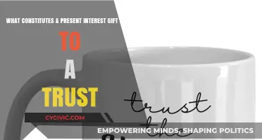 Understanding Present Interest Gifts to a Trust