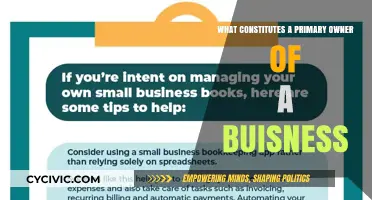 Who's the Boss? Defining Primary Business Ownership