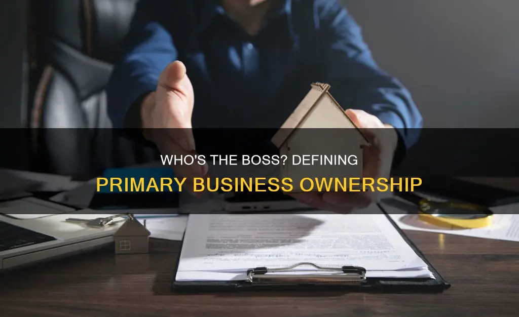 what constitutes a primary owner of a buisness