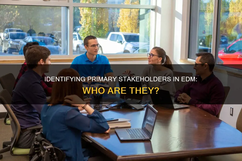 what constitutes a primary stakeholder in an edm