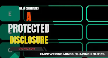 Understanding Protected Disclosures: What Counts and What Doesn't