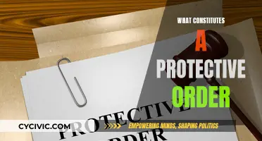 Understanding Protective Order Basics: What You Need to Know