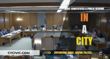 Understanding Public Hearings: City Edition