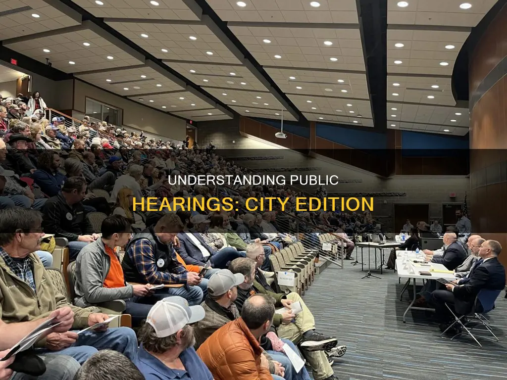 what constitutes a public hearing in a city