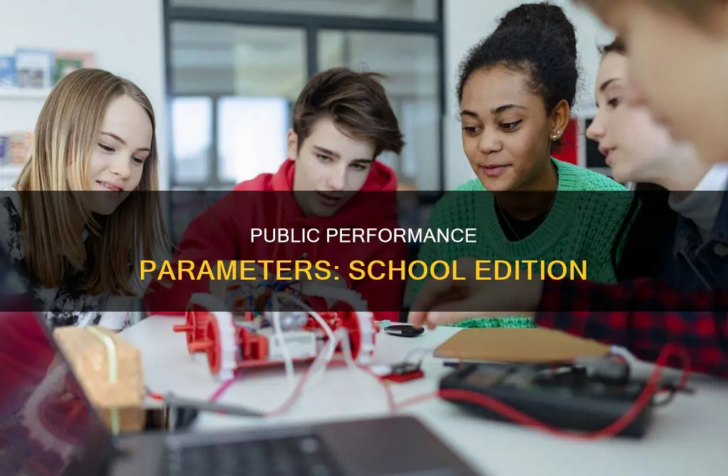 what constitutes a public performance in a school