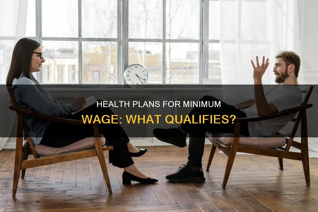 what constitutes a qualified health plan for minimum wage