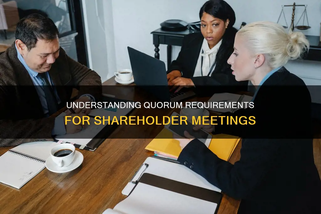 what constitutes a quorum at a meeting of shareholders