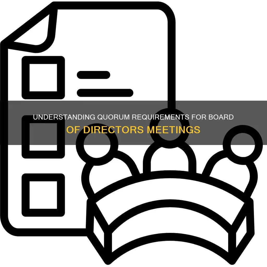 what constitutes a quorum for a board of directors