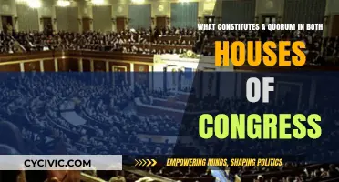 How Quorum Rules Govern Congress