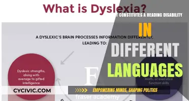 Reading Disabilities: A Multilingual Perspective