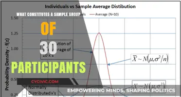 Defining a Sample Group: 30 Participants