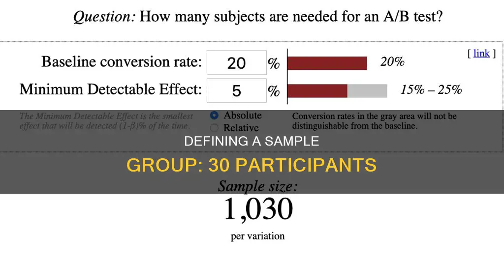 what constitutes a sample group of 30 participants