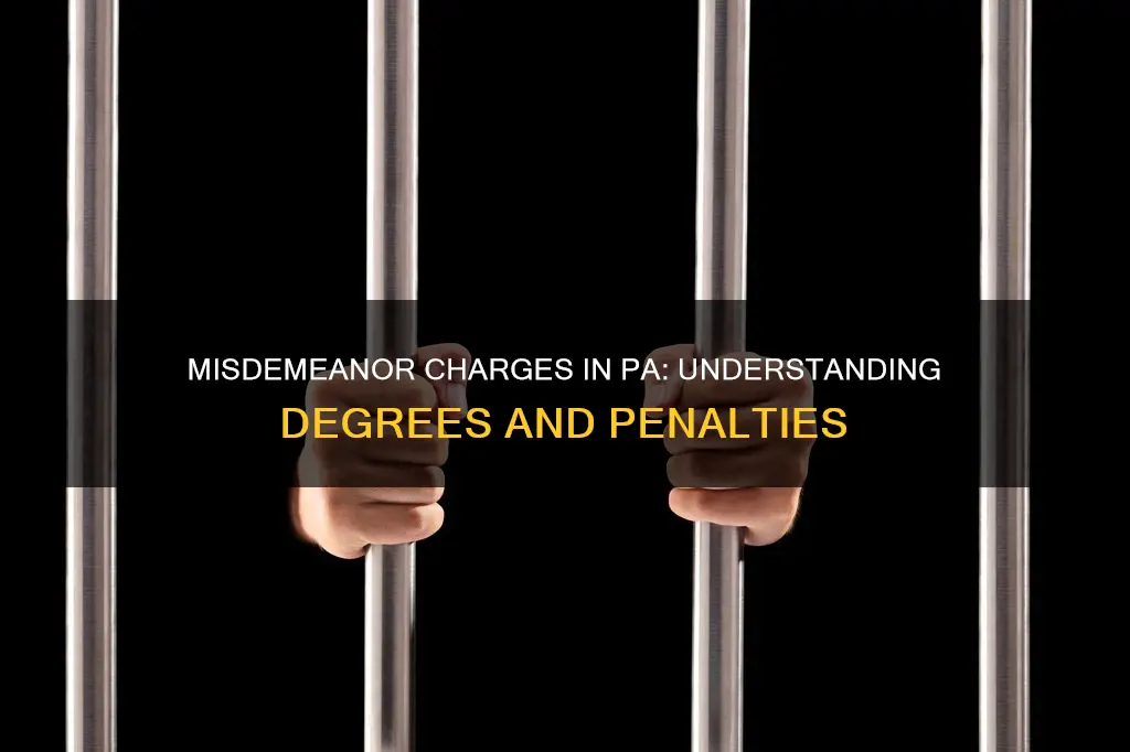 what constitutes a second or third degree misdemeanor in pa
