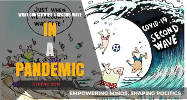 Pandemic Second Wave: Definition and Triggers