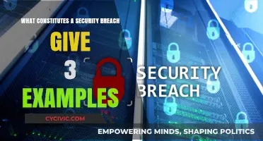 Security Breach: Understanding the Threats and Risks