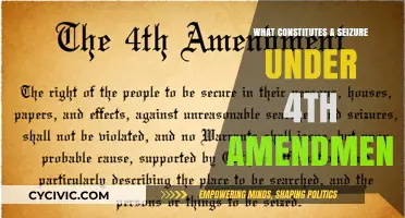 Understanding Seizure Law: Your Rights and the Fourth Amendment