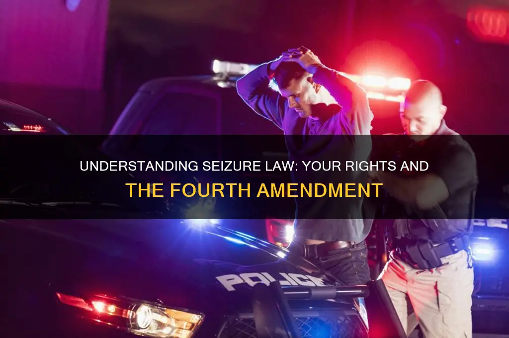 what constitutes a seizure under 4th amendment