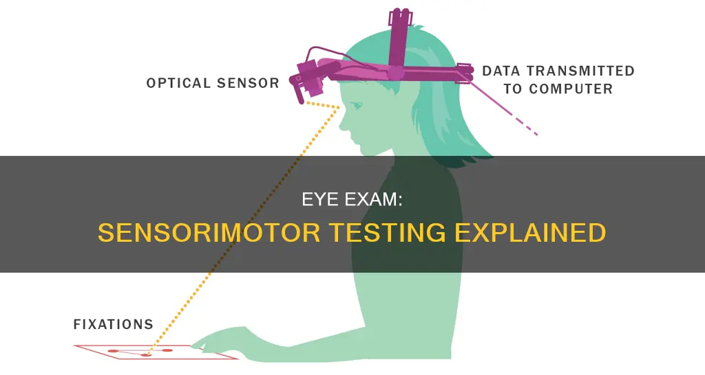 what constitutes a sensorimotor exam for the eyes
