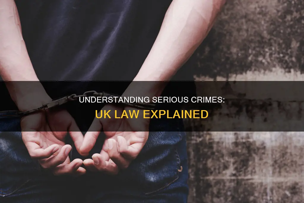 what constitutes a serious crime in the uk