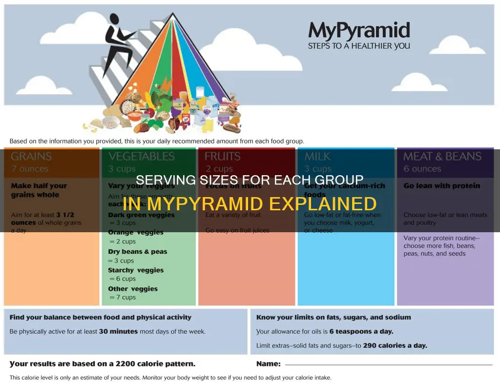 what constitutes a serving size for each group in mypyramid