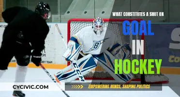 Understanding Shots on Goal in Hockey