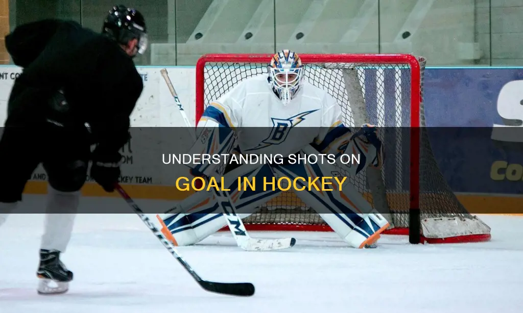 what constitutes a shot on goal in hockey