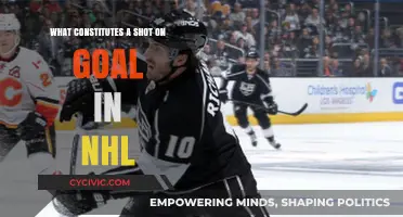 What Counts as a Shot on Goal in NHL?
