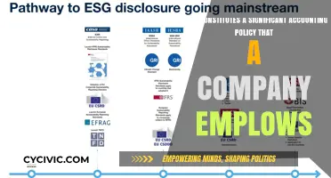 Accounting Policies: What Are the Key Decisions?