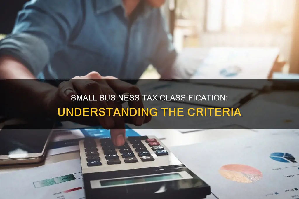 what constitutes a small business for tax purposes