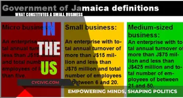 Defining Small Businesses in the US: Size Standards and Criteria